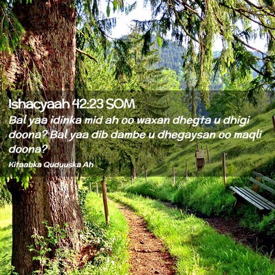 Picture 02 - Ishacyaah 42:23 SOM - Bal yaa idinka mid ah oo waxan dhegta u dhigi - Bible Verse Picture