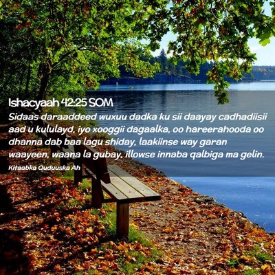 Picture 02 - Ishacyaah 42:25 SOM - Sidaas daraaddeed wuxuu dadka ku sii daayay - Bible Verse Picture