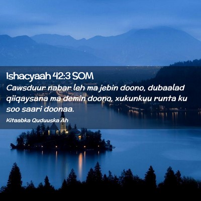 Picture 02 - Ishacyaah 42:3 SOM - Cawsduur nabar leh ma jebin doono, dubaalad - Bible Verse Picture