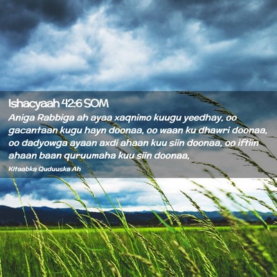Picture 02 - Ishacyaah 42:6 SOM - Aniga Rabbiga ah ayaa xaqnimo kuugu yeedhay, oo - Bible Verse Picture