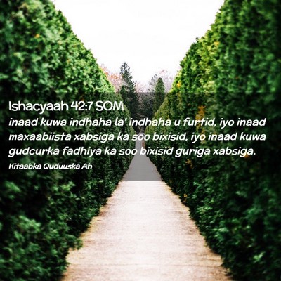 Picture 02 - Ishacyaah 42:7 SOM - inaad kuwa indhaha la' indhaha u furtid, iyo - Bible Verse Picture