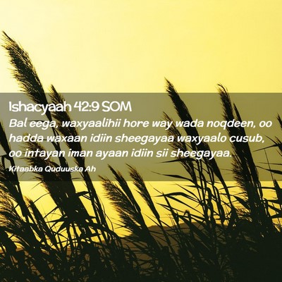Picture 02 - Ishacyaah 42:9 SOM - Bal eega, waxyaalihii hore way wada noqdeen, oo - Bible Verse Picture