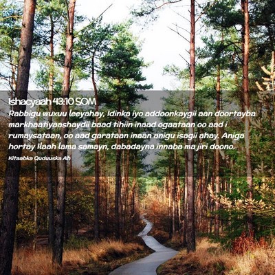 Picture 02 - Ishacyaah 43:10 SOM - Rabbigu wuxuu leeyahay, Idinka iyo addoonkaygii - Bible Verse Picture