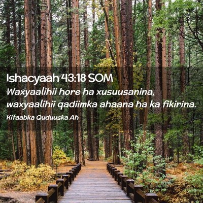 Picture 02 - Ishacyaah 43:18 SOM - Waxyaalihii hore ha xusuusanina, waxyaalihii - Bible Verse Picture