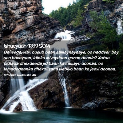 Picture 02 - Ishacyaah 43:19 SOM - Bal eega, wax cusub baan samaynayaaye, oo haddeer - Bible Verse Picture