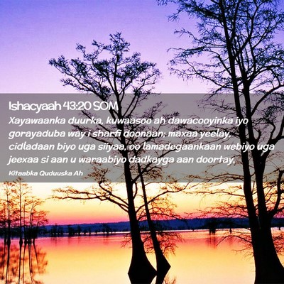 Picture 02 - Ishacyaah 43:20 SOM - Xayawaanka duurka, kuwaasoo ah dawacooyinka iyo - Bible Verse Picture