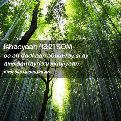 Picture 02 - Ishacyaah 43:21 SOM - oo ah dadkaan abuurtay si ay ammaantayda u - Bible Verse Picture