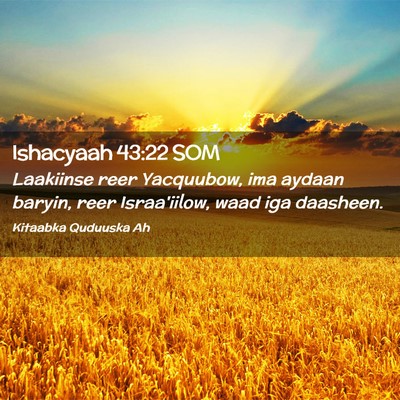 Picture 02 - Ishacyaah 43:22 SOM - Laakiinse reer Yacquubow, ima aydaan baryin, reer - Bible Verse Picture