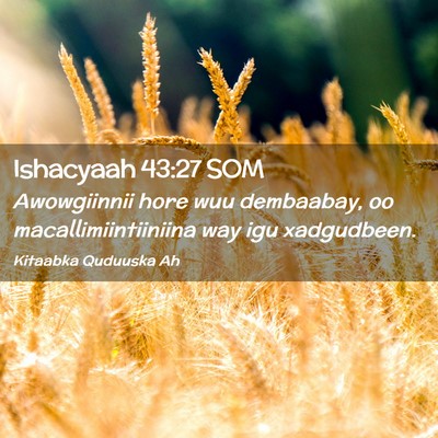 Picture 02 - Ishacyaah 43:27 SOM - Awowgiinnii hore wuu dembaabay, oo - Bible Verse Picture