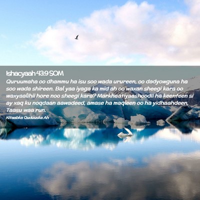 Picture 02 - Ishacyaah 43:9 SOM - Quruumaha oo dhammu ha isu soo wada urureen, oo - Bible Verse Picture