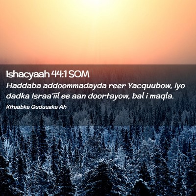 Picture 02 - Ishacyaah 44:1 SOM - Haddaba addoommadayda reer Yacquubow, iyo dadka - Bible Verse Picture