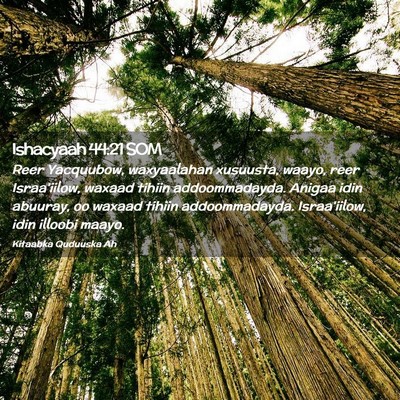 Picture 02 - Ishacyaah 44:21 SOM - Reer Yacquubow, waxyaalahan xusuusta, waayo, reer - Bible Verse Picture