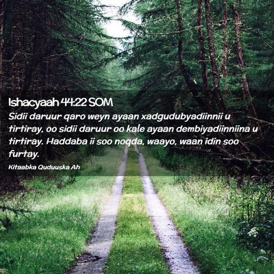 Picture 02 - Ishacyaah 44:22 SOM - Sidii daruur qaro weyn ayaan xadgudubyadiinnii u - Bible Verse Picture