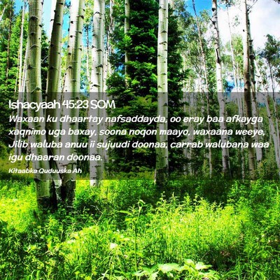 Picture 02 - Ishacyaah 45:23 SOM - Waxaan ku dhaartay nafsaddayda, oo eray baa - Bible Verse Picture