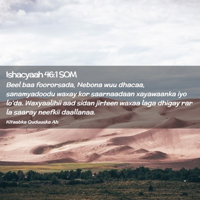 Picture 02 - Ishacyaah 46:1 SOM - Beel baa foororsada, Nebona wuu dhacaa, - Bible Verse Picture