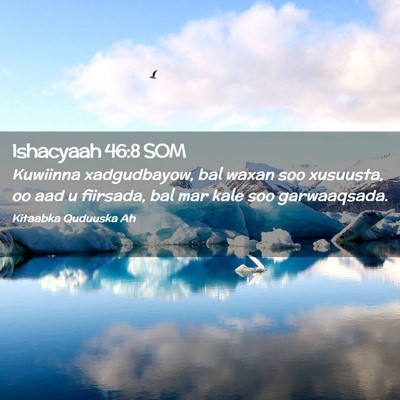 Picture 02 - Ishacyaah 46:8 SOM - Kuwiinna xadgudbayow, bal waxan soo xusuusta, oo - Bible Verse Picture