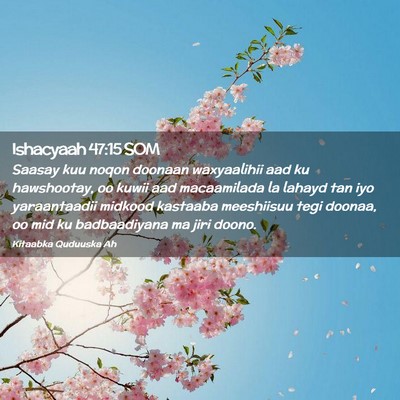 Picture 02 - Ishacyaah 47:15 SOM - Saasay kuu noqon doonaan waxyaalihii aad ku - Bible Verse Picture