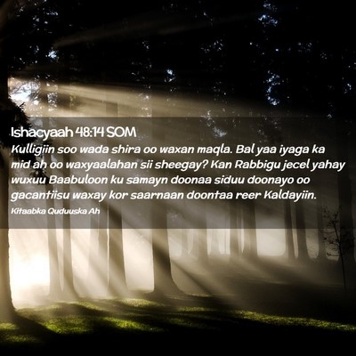 Picture 02 - Ishacyaah 48:14 SOM - Kulligiin soo wada shira oo waxan maqla. Bal yaa - Bible Verse Picture