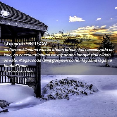 Picture 02 - Ishacyaah 48:19 SOM - oo farcankiinnuna wuxuu ahaan lahaa sidii - Bible Verse Picture