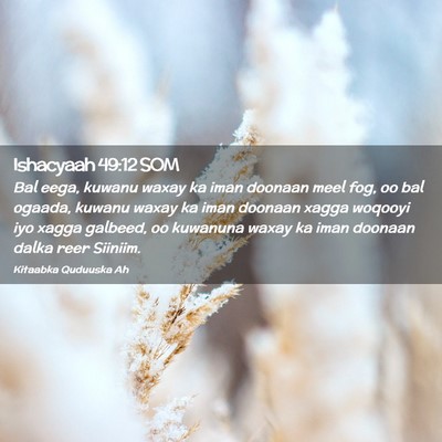 Picture 02 - Ishacyaah 49:12 SOM - Bal eega, kuwanu waxay ka iman doonaan meel fog, - Bible Verse Picture