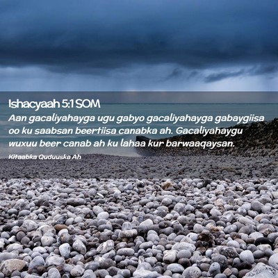 Picture 02 - Ishacyaah 5:1 SOM - Aan gacaliyahayga ugu gabyo gacaliyahayga - Bible Verse Picture