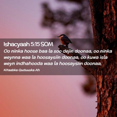 Picture 02 - Ishacyaah 5:15 SOM - Oo ninka hoose baa la soo dejin doonaa, oo ninka - Bible Verse Picture