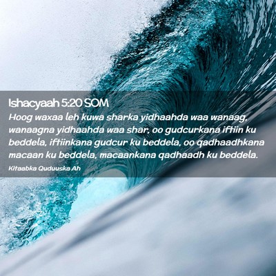 Picture 02 - Ishacyaah 5:20 SOM - Hoog waxaa leh kuwa sharka yidhaahda waa wanaag, - Bible Verse Picture