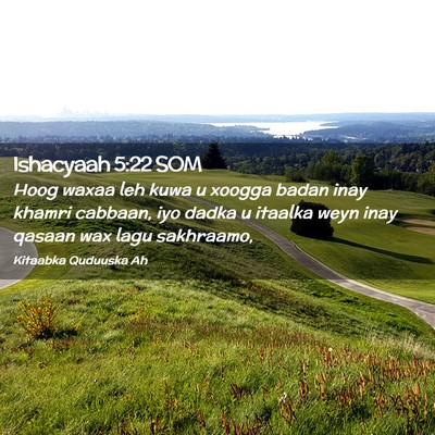 Picture 02 - Ishacyaah 5:22 SOM - Hoog waxaa leh kuwa u xoogga badan inay khamri - Bible Verse Picture