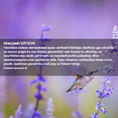 Picture 02 - Ishacyaah 5:25 SOM - Haddaba sidaas daraaddeed ayaa cadhadii Rabbigu - Bible Verse Picture