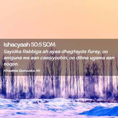 Picture 02 - Ishacyaah 50:5 SOM - Sayidka Rabbiga ah ayaa dhegtayda furay, oo - Bible Verse Picture