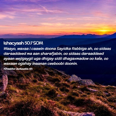 Picture 02 - Ishacyaah 50:7 SOM - Waayo, waxaa i caawin doona Sayidka Rabbiga ah, - Bible Verse Picture