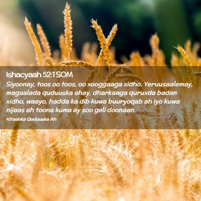Picture 02 - Ishacyaah 52:1 SOM - Siyoonay, toos oo toos, oo xooggaaga xidho. - Bible Verse Picture