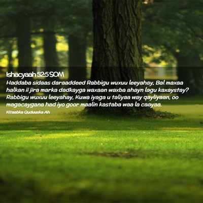 Picture 02 - Ishacyaah 52:5 SOM - Haddaba sidaas daraaddeed Rabbigu wuxuu leeyahay, - Bible Verse Picture