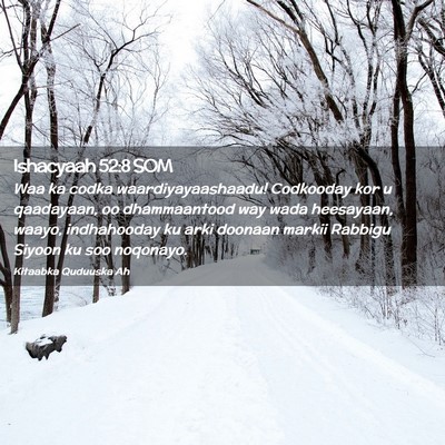 Picture 02 - Ishacyaah 52:8 SOM - Waa ka codka waardiyayaashaadu! Codkooday kor u - Bible Verse Picture