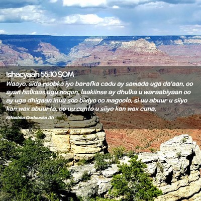 Picture 02 - Ishacyaah 55:10 SOM - Waayo, sida roobka iyo barafka cadu ay samada uga - Bible Verse Picture