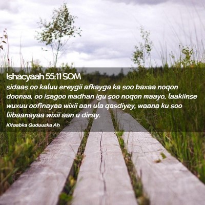 Picture 02 - Ishacyaah 55:11 SOM - sidaas oo kaluu ereygii afkayga ka soo baxaa - Bible Verse Picture