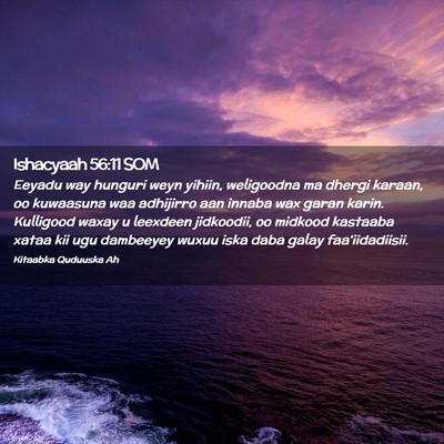 Picture 02 - Ishacyaah 56:11 SOM - Eeyadu way hunguri weyn yihiin, weligoodna ma - Bible Verse Picture