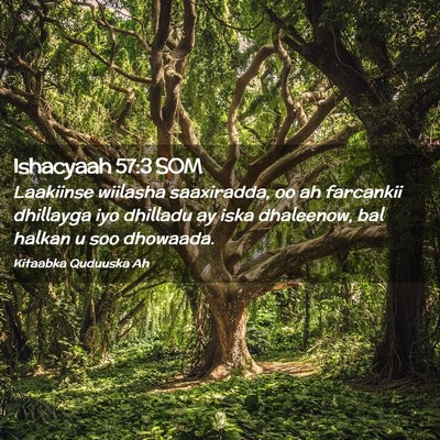 Picture 02 - Ishacyaah 57:3 SOM - Laakiinse wiilasha saaxiradda, oo ah farcankii - Bible Verse Picture