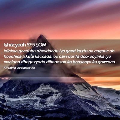 Picture 02 - Ishacyaah 57:5 SOM - idinkoo geedaha dhexdooda iyo geed kasta oo - Bible Verse Picture