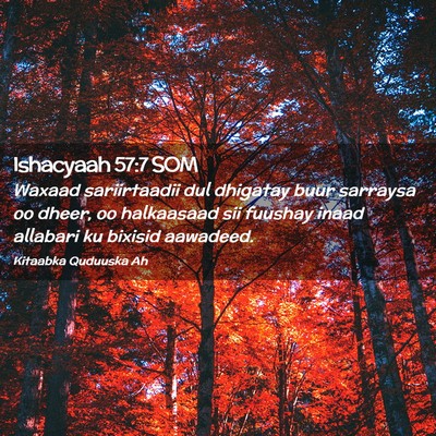 Picture 02 - Ishacyaah 57:7 SOM - Waxaad sariirtaadii dul dhigatay buur sarraysa oo - Bible Verse Picture