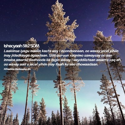 Picture 02 - Ishacyaah 58:2 SOM - Laakiinse iyagu maalin kasta way i doondoonaan, - Bible Verse Picture