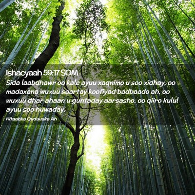 Picture 02 - Ishacyaah 59:17 SOM - Sida laabdhawr oo kale ayuu xaqnimo u soo xidhay, - Bible Verse Picture