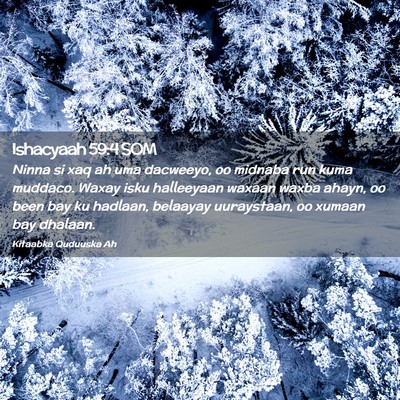 Picture 02 - Ishacyaah 59:4 SOM - Ninna si xaq ah uma dacweeyo, oo midnaba run kuma - Bible Verse Picture