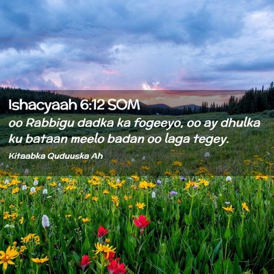 Picture 02 - Ishacyaah 6:12 SOM - oo Rabbigu dadka ka fogeeyo, oo ay dhulka ku - Bible Verse Picture