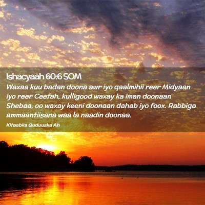 Picture 02 - Ishacyaah 60:6 SOM - Waxaa kuu badan doona awr iyo qaalmihii reer - Bible Verse Picture