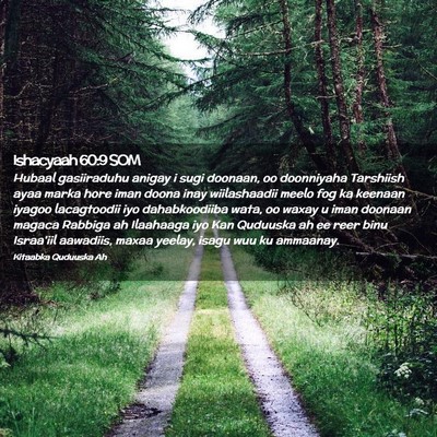 Picture 02 - Ishacyaah 60:9 SOM - Hubaal gasiiraduhu anigay i sugi doonaan, oo - Bible Verse Picture