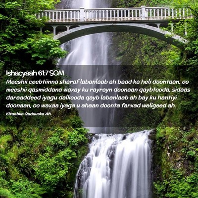 Picture 02 - Ishacyaah 61:7 SOM - Meeshii ceebtiinna sharaf labanlaab ah baad ka - Bible Verse Picture