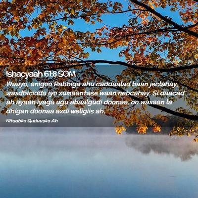 Picture 02 - Ishacyaah 61:8 SOM - Waayo, anigoo Rabbiga ahu caddaalad baan - Bible Verse Picture