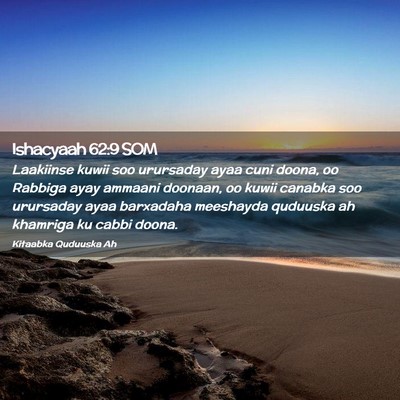 Picture 02 - Ishacyaah 62:9 SOM - Laakiinse kuwii soo urursaday ayaa cuni doona, oo - Bible Verse Picture