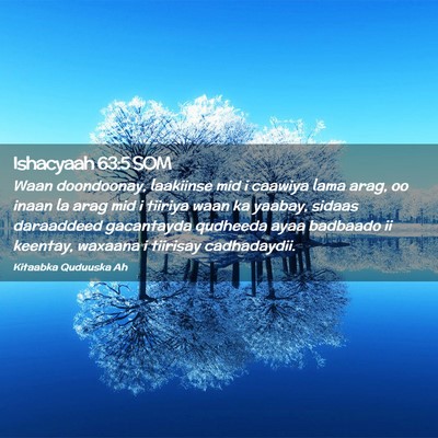 Picture 02 - Ishacyaah 63:5 SOM - Waan doondoonay, laakiinse mid i caawiya lama - Bible Verse Picture